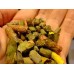 Leafcutting Bee Cells x 50  PRE-ORDER